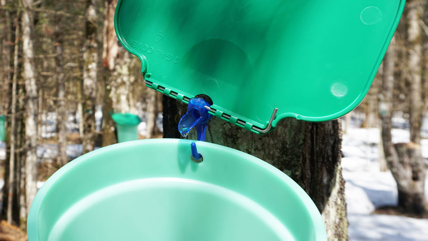 The Maple Guys | Maple Sugaring Equipment & Supplies